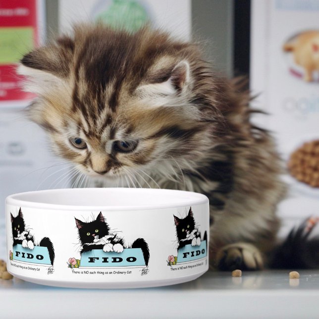 Tuxedo Kitten Dog's Bowl (Creator Uploaded)