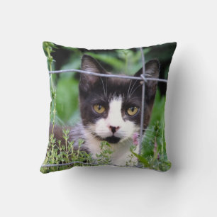 Tuxedo Kitten in the Garden Cushion
