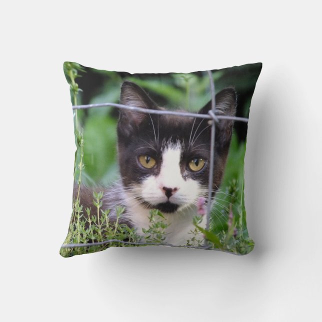 Tuxedo Kitten in the Garden  Cushion (Back)