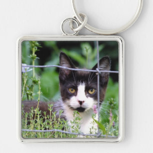 Tuxedo Kitten in the Garden Key Ring