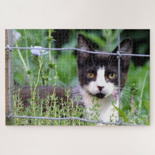 Tuxedo Kitten in the Garden Puzzle