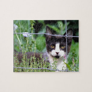 Tuxedo Kitten in the Garden Puzzle