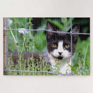 Tuxedo Kitten in the Garden Puzzle