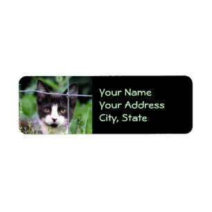 Tuxedo Kitten in the Garden Return Address Label