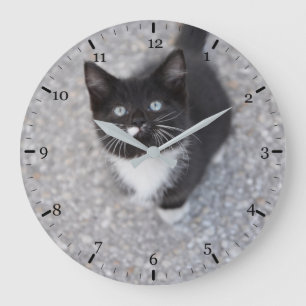 Tuxedo kitten large clock