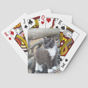 Tuxedo Kitten Playing Cards