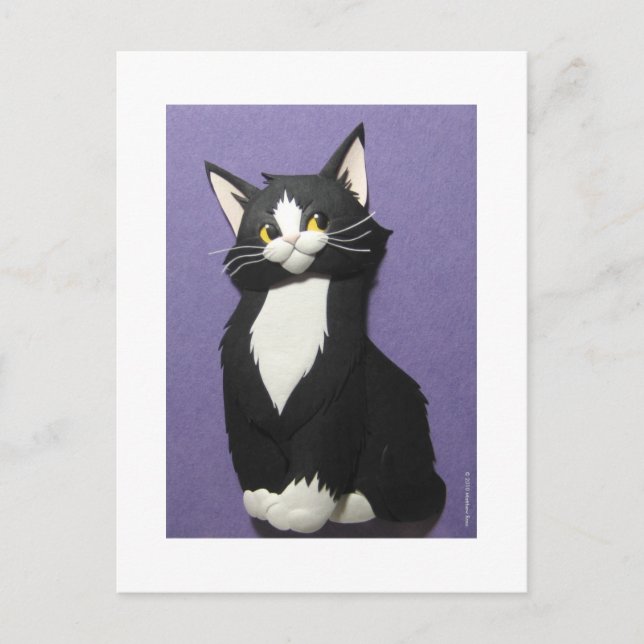 Tuxedo Kitten Postcard (Front)