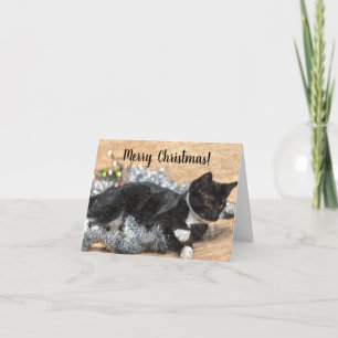 Tuxedo Kitten Tinsel and Lights Christmas Card