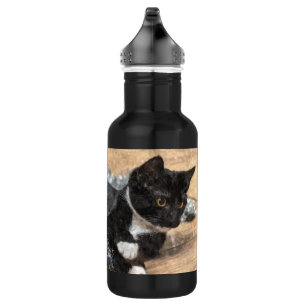 Tuxedo Kitten Tinsel and Lights Painterly Stainles 532 Ml Water Bottle