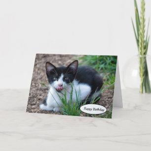 Tuxedo kitten with tongue sticking out card