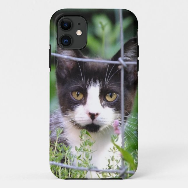 Tuxedo Kitten Xena in the Garden iPhone 5 Case (Back)