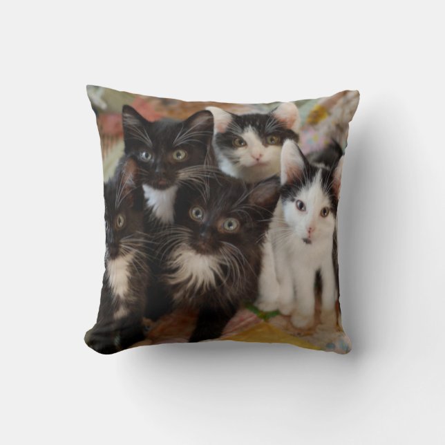 Tuxedo Kittens Cushion (Front)