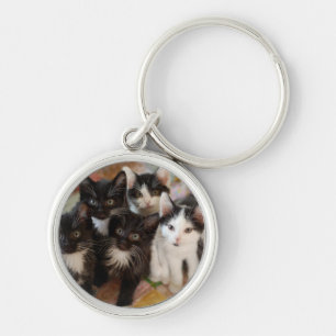 Tuxedo Kittens Key Ring