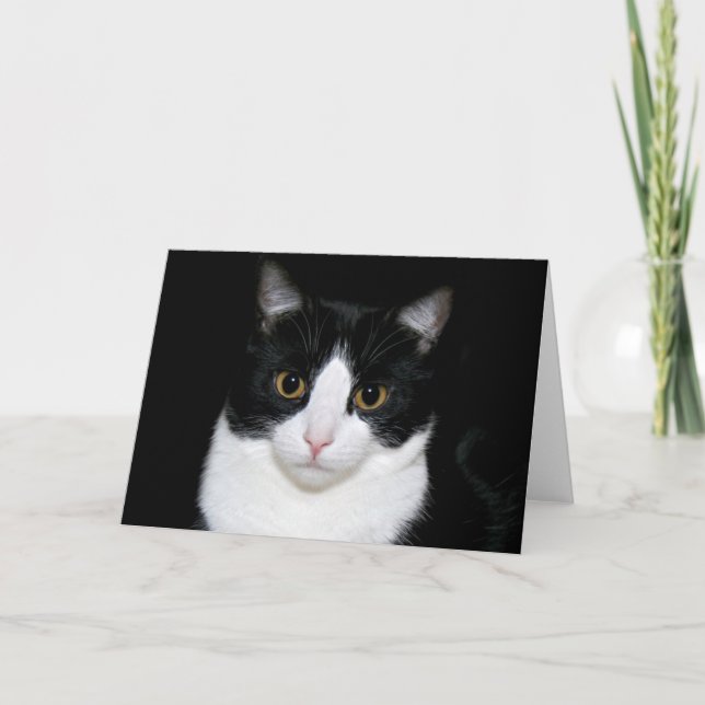 Tuxedo kitty card (Front)