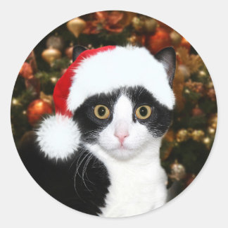 Tuxedo kitty cat Christmas Classic Round Sticker