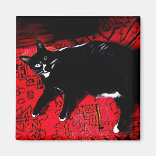 Tuxedo Kitty on Red Rug magnet