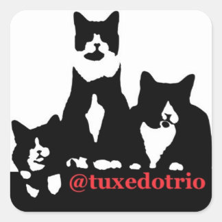 TuxedoTrio Square Square Sticker