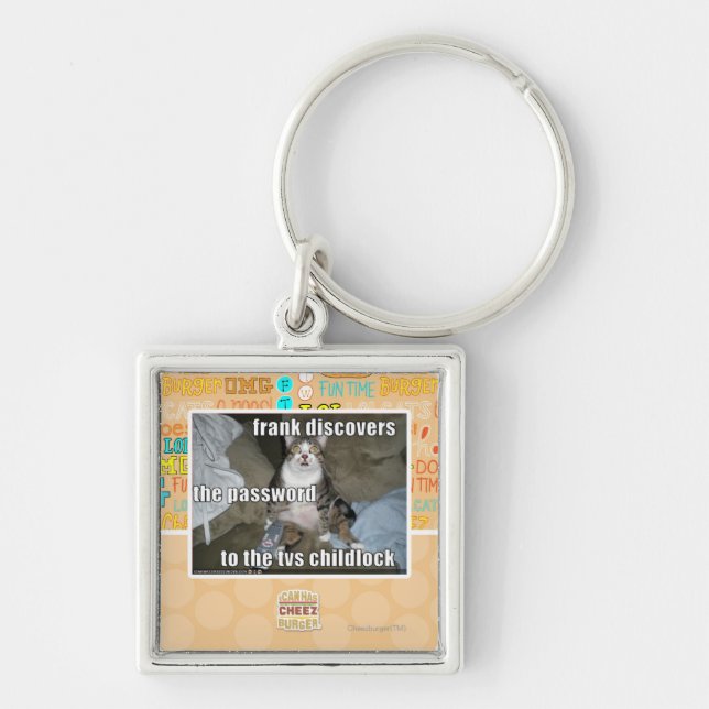 TV Childlock Key Ring (Front)