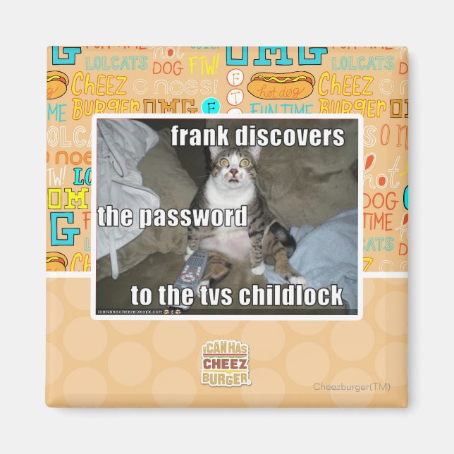 TV Childlock Magnet (Front)