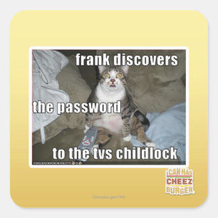 TV Childlock Square Sticker