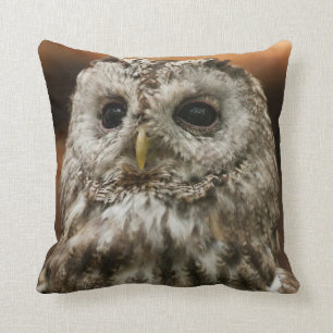 Twany Owl Cushion