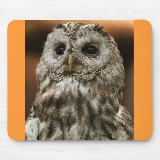 Twany Owl Mouse Pad (Front)