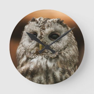 Twany Owl Round Clock