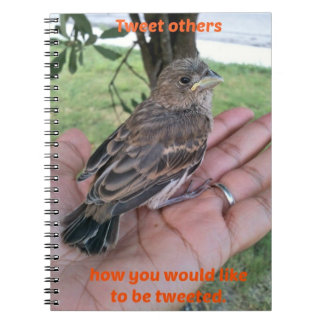 Tweet Others Notebook