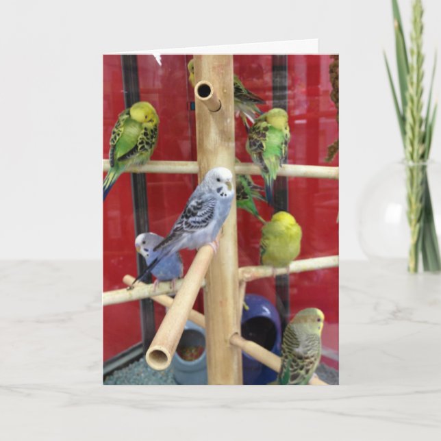 "TWEETING" HAPPY EASTER TO "YOU" HOLIDAY CARD (Front)