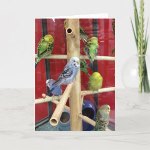 "TWEETING" HAPPY EASTER TO "YOU" HOLIDAY CARD