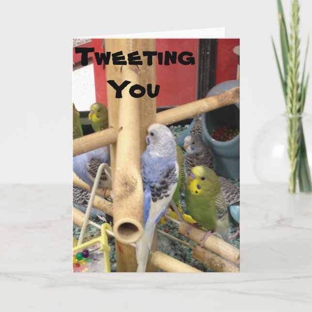 "TWEETING" TO SAY HAVE A HAPPY EASTER HOLIDAY CARD (Front)