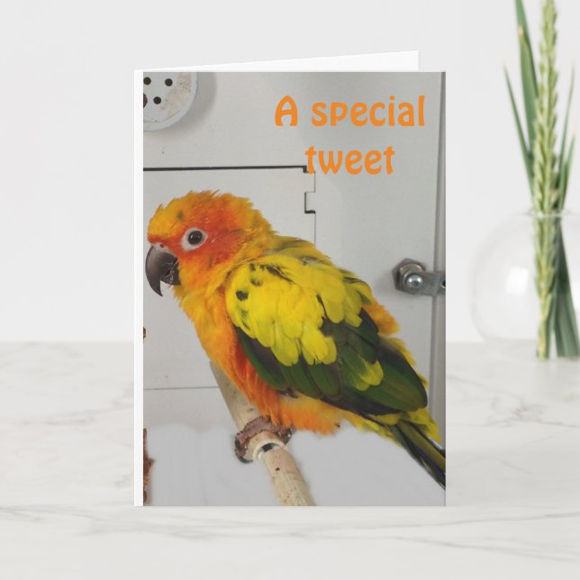 "TWEETING" YOU A VERY HAPPY EASTER HOLIDAY CARD (Front)