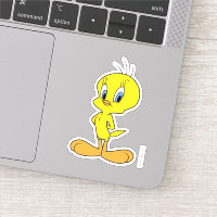 TWEETY™ | Clever Bird