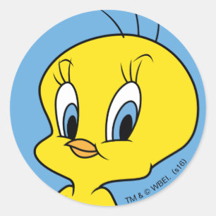 TWEETY™ Clever Bird Classic Round Sticker