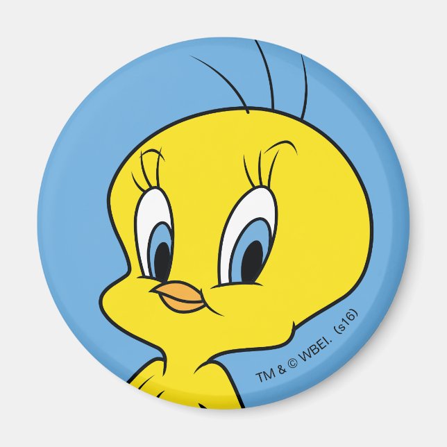 TWEETY™ | Clever Bird Magnet (Front)