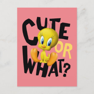 TWEETY™- Cute Or What? Postcard