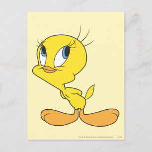 TWEETY™ Hmm Postcard