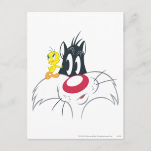 TWEETY™ In Action Pose 12 Postcard