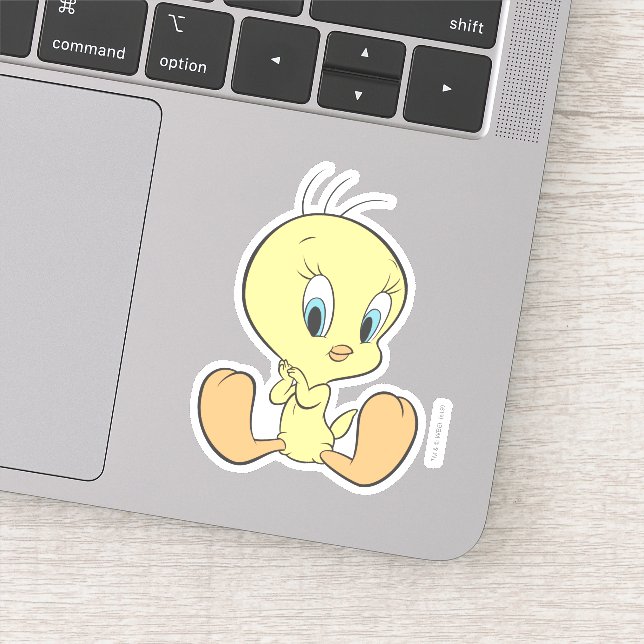 TWEETY™ In The Clouds Pose (Detail)