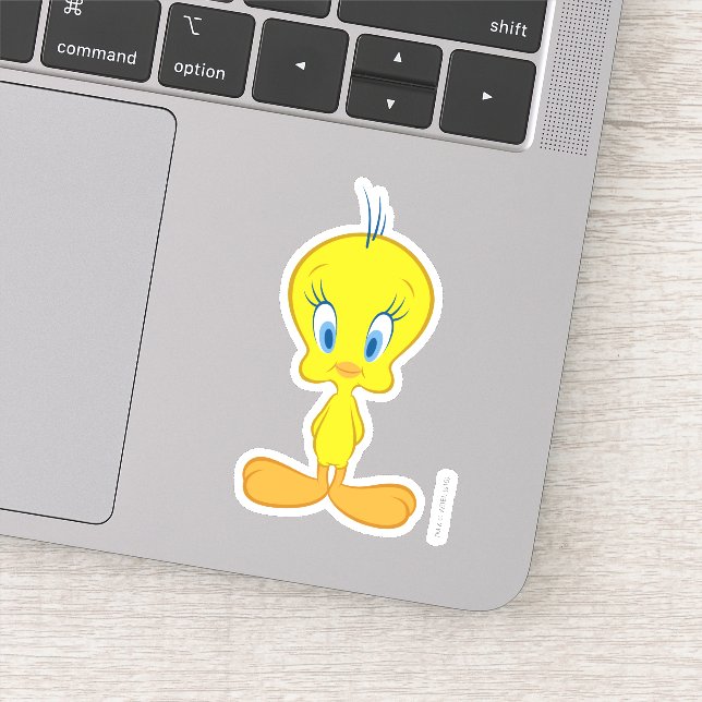 TWEETY™ | Innocent Little Bird (Detail)