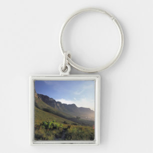 Twelve Apostles, Cape Town, Western Cape Key Ring