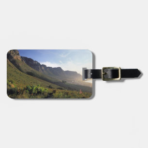 Twelve Apostles, Cape Town, Western Cape Luggage Tag