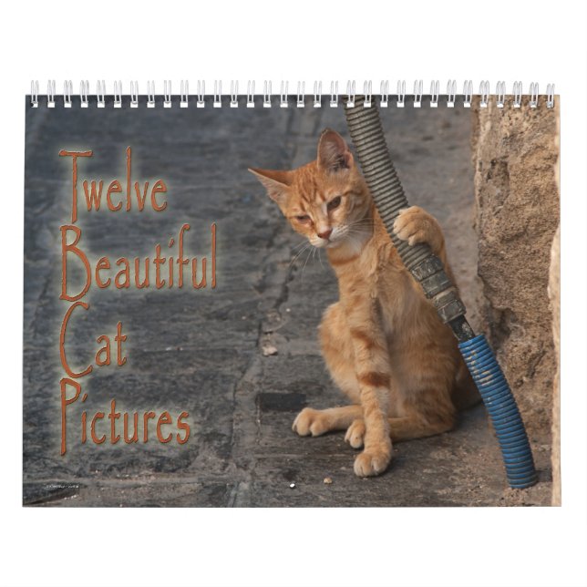 Twelve Beautiful Cats Pictures Calendar (Cover)