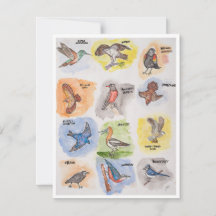 Twelve Colourful Birds