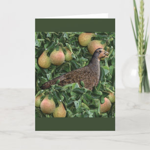 Twelve Days of Christmas -Partridge in a Pear Tree Holiday Card