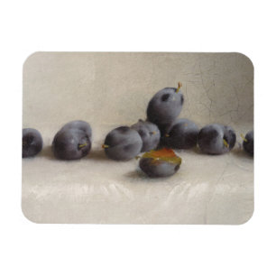 Twelve Plums Magnet