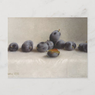 Twelve Plums Postcard