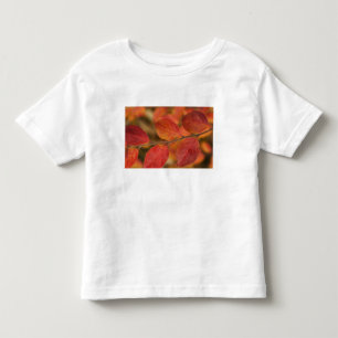 Twig covered with autumn leaves toddler T-Shirt