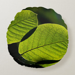 Twig leaf green foliage veins round cushion