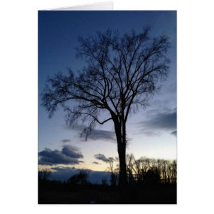 Twilight At The Tree In Winter Greeting/Note Cards